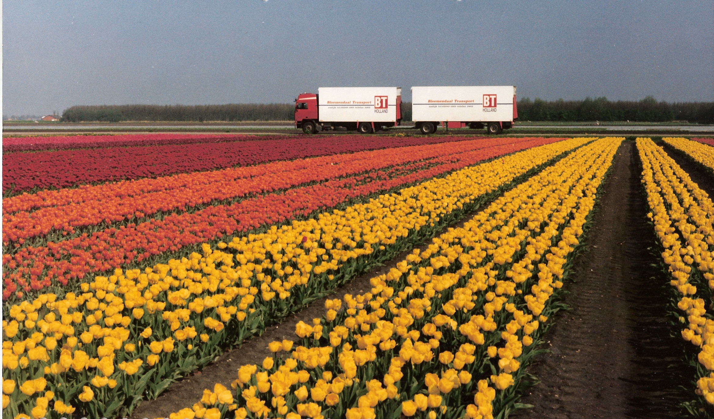 Bloemendaal-1993